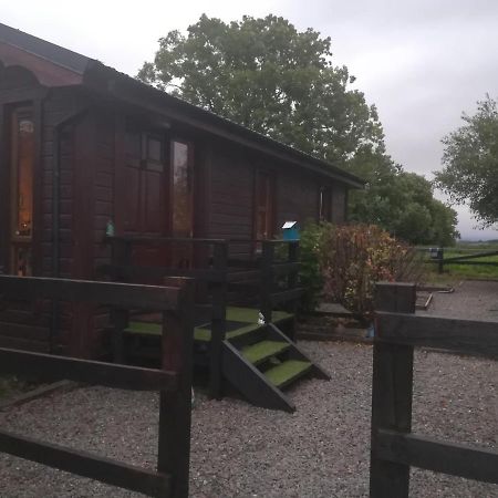 Stay With Your Pet Killarney Eksteriør bilde