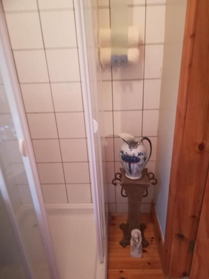 Stay With Your Pet Killarney Eksteriør bilde