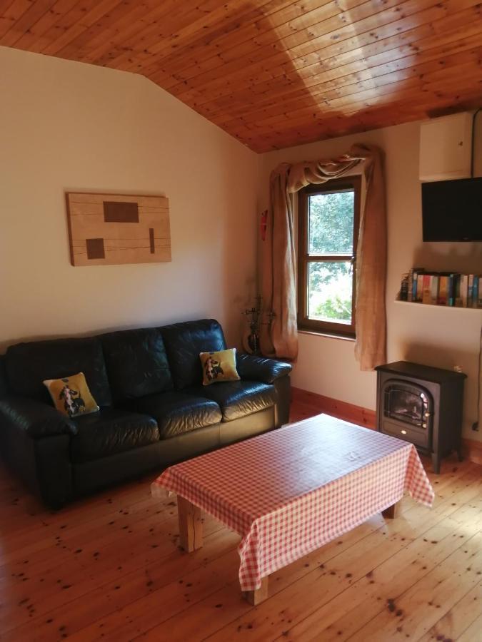 Stay With Your Pet Killarney Eksteriør bilde