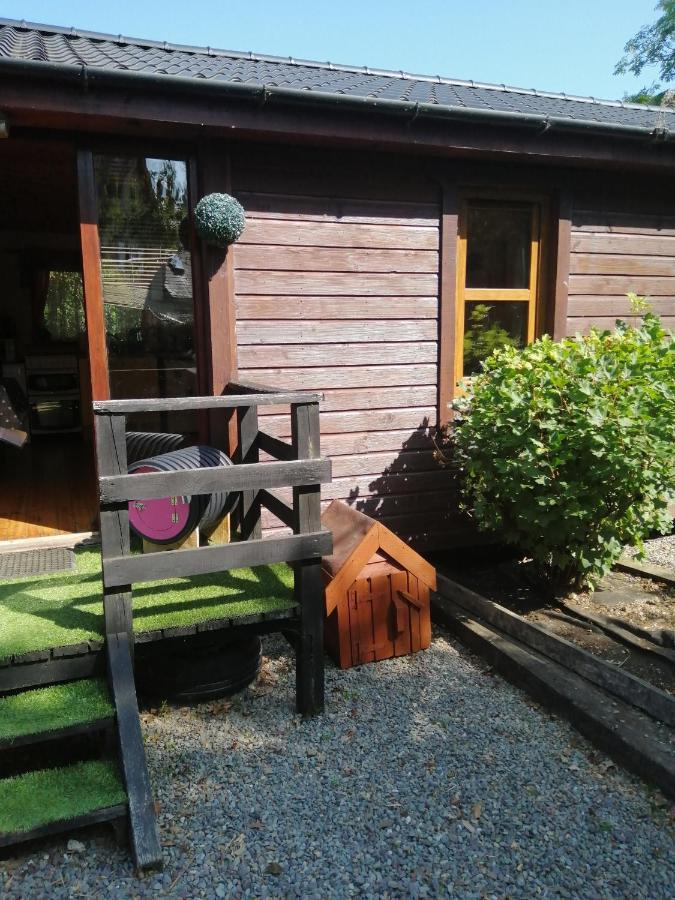 Stay With Your Pet Killarney Eksteriør bilde