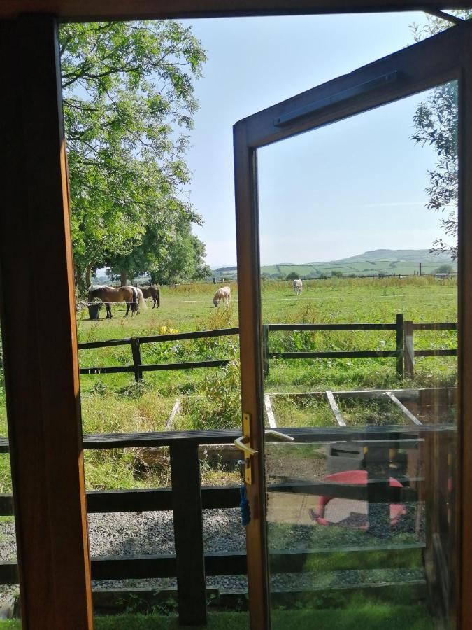 Stay With Your Pet Killarney Eksteriør bilde
