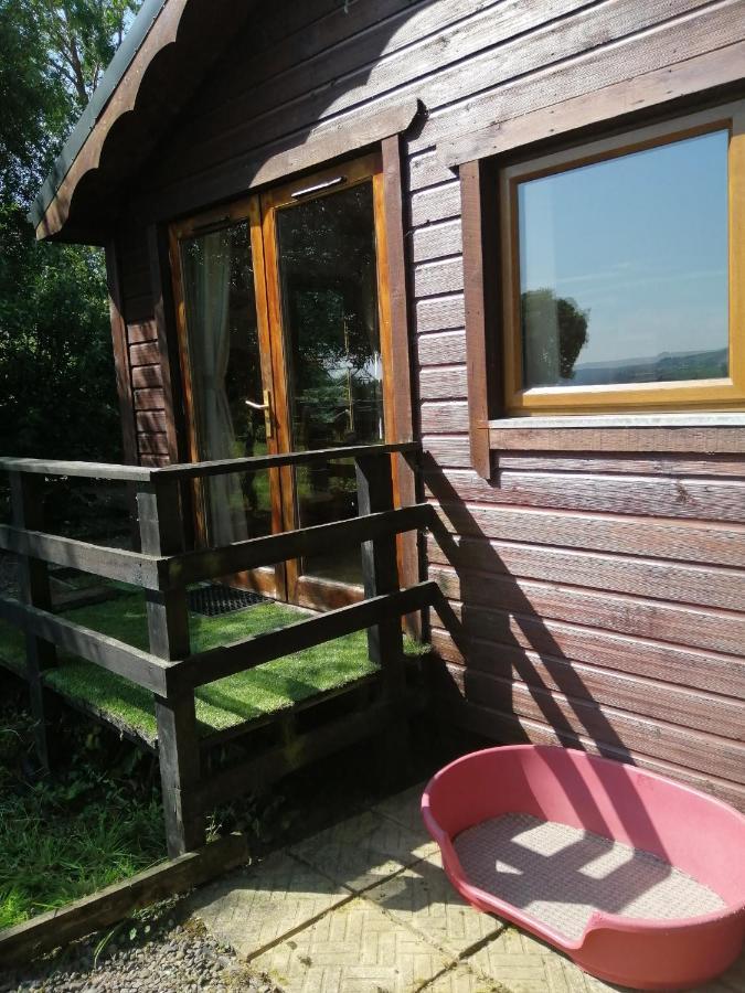Stay With Your Pet Killarney Eksteriør bilde