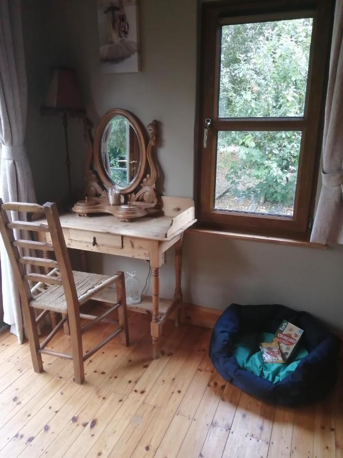 Stay With Your Pet Killarney Eksteriør bilde