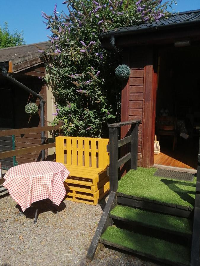 Stay With Your Pet Killarney Eksteriør bilde